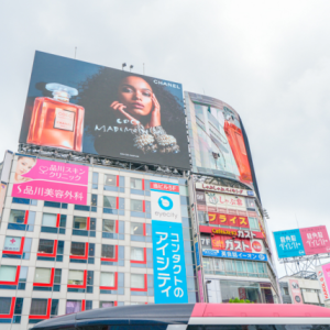 东京新晋顶流